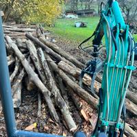 Pinza boschiva/legname