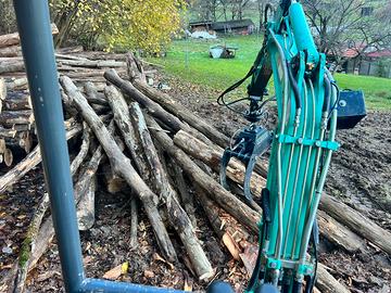 Pinza boschiva/legname