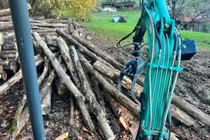 Pinza boschiva/legname