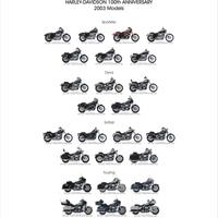 Harley Davidson 100th Anniversary 2003