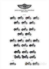 Harley Davidson 100th Anniversary 2003