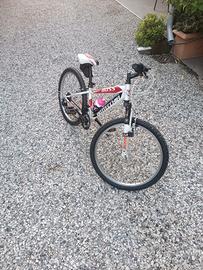 bici 24 Bottecchia 