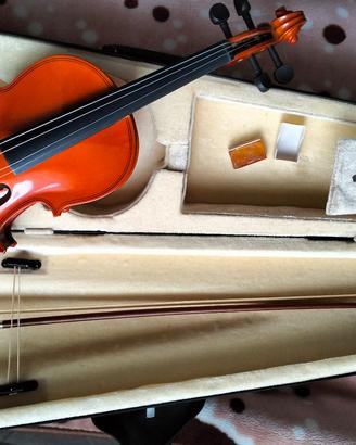 violino 