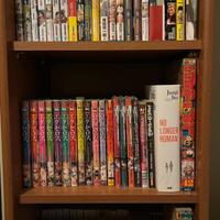 Collezione manga 300+ volumi