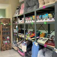 Stock completo Pet Boutique - 1.158 articoli