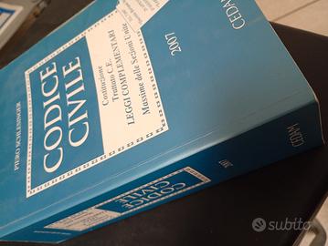 Codice civile 2007 Schlesinger