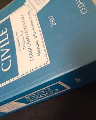 Codice civile 2007 Schlesinger