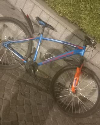 bicicletta 