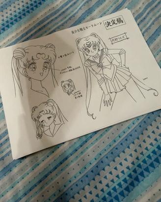 Settei sailor moon