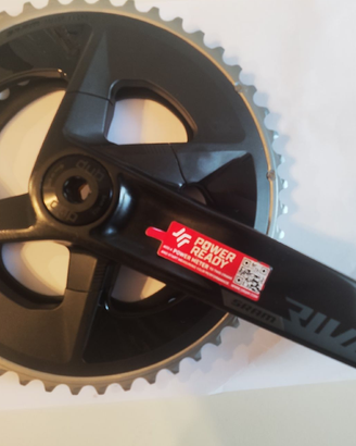 Rival D1 12v 48 35T 170mm