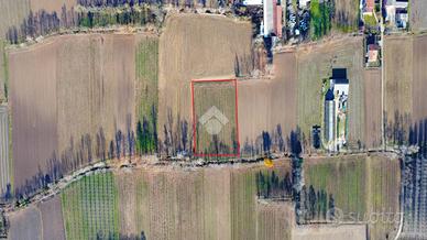 TER. AGRICOLO A CASTELFRANCO VENETO