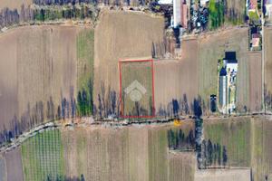 TER. AGRICOLO A CASTELFRANCO VENETO