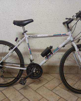 Bicicletta Shimano