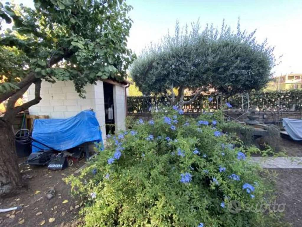 Appartamento – Ladispoli, Torre Flavia - Vista 5