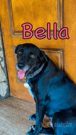 Bella: dolce, pacata e amorevole
