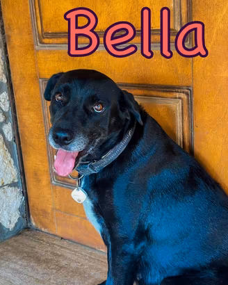 Bella: dolce, pacata e amorevole