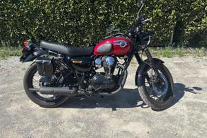 Kawasaki W 800 - 2013