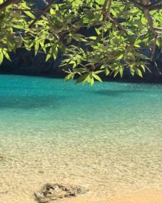 Palinuro appartamento vacanza spiaggia a piedi