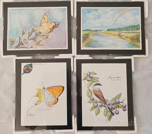 Disegni tema natura con vetro cornice