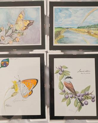Disegni tema natura con vetro cornice