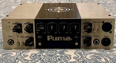 TECAMP Puma 1000 _testata per basso 1000w