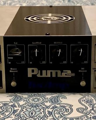 TECAMP Puma 1000 _testata per basso 1000w