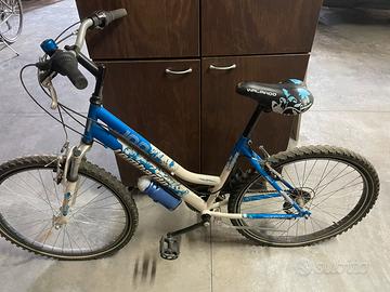 Bici da ragazzo