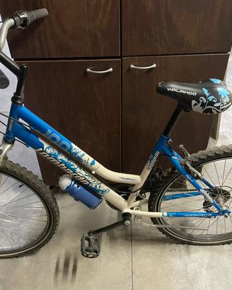 Bici da ragazzo