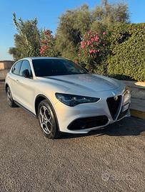 Ribasso! Splendida stelvio my 24