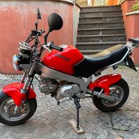 Moto tipo Honda Monkey adatta a camper