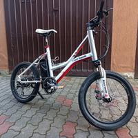 Bici elettrica