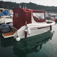 Cruiser coverlin con fuoribordo 150 cv