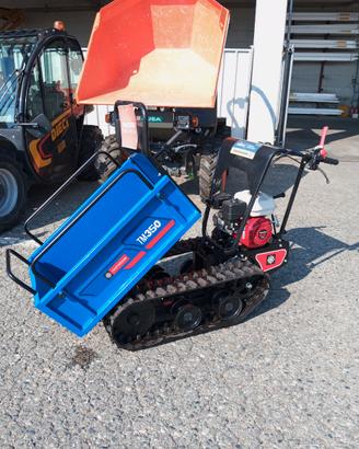 MOTOCARRIOLA FAST VERDINI TM350