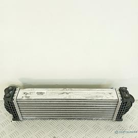 Intercooler Ford Transit Tourneo Custom V363 2015–