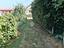 Immagine 7