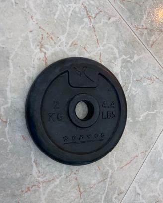 4 dischi gommati da 2 kg