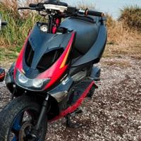 SMEMBRO APRILIA SR DITECH
