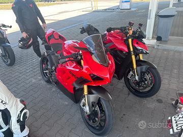 DUCATI PANIGALE V4S 2024- PERFETTA