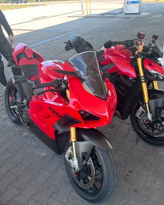 DUCATI PANIGALE V4S 2024- PERFETTA