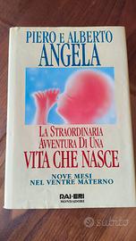 La straordinaria avventura di una vita che nasce 