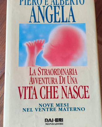 La straordinaria avventura di una vita che nasce 