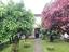 Immagine 26