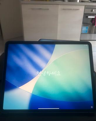 Ipad 13’ COMPLETO DI TUTTI GLI ACCESORI 256gb nuov