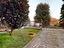Immagine 25