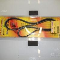 Cinghia dentata malossi piaggio grillo variatore