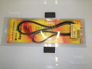 Cinghia dentata malossi piaggio grillo variatore