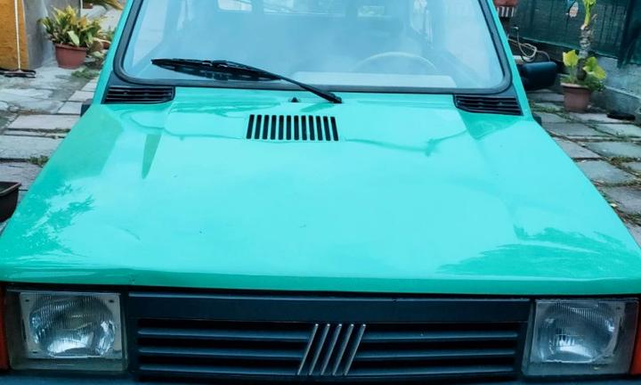 Fiat Panda Young 1.1 – Benzina/GPL – 2001