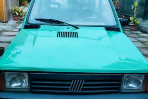 Fiat Panda Young 1.1 – Benzina/GPL – 2001