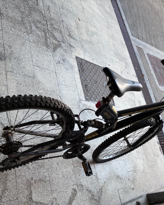 Mountain bike