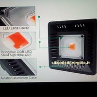 Grow idroponica indoor 50 watt COB